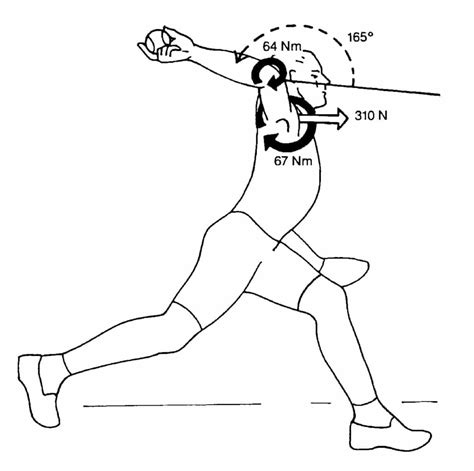 Baseball Pitcher External Rotation 的图像结果