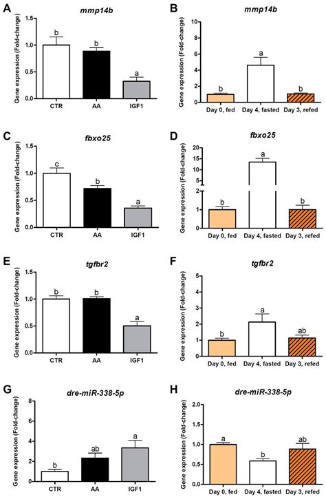 Amino Acids and IGF1 Regulation of Fish Muscle Growth Revealed by ...