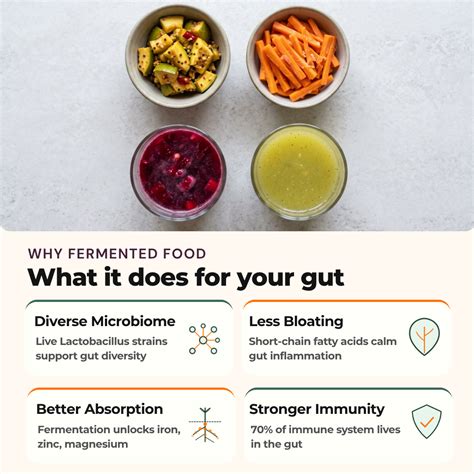 Fermentation Starter Kit · Kanji, Aam Panna, Kimchi, Achaar & Veg ...