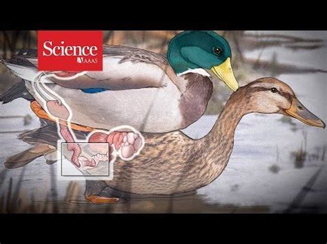 Image result for Machine Learning Magazine