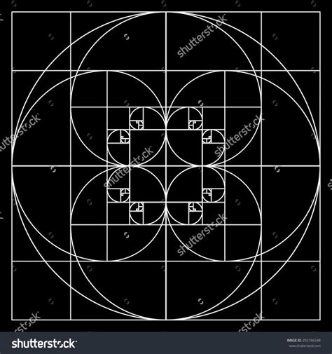 Beautiful Math Patterns 的图像结果