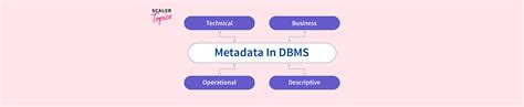Metadata of a Database System 的图像结果