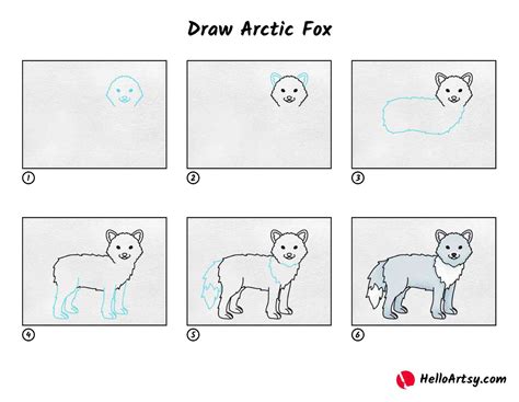 Draw Arctic Fox - HelloArtsy