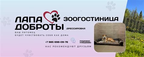 Зоогостиница | Зоопсихолог | Дрессировка собак | В нашей зоогостинице ...