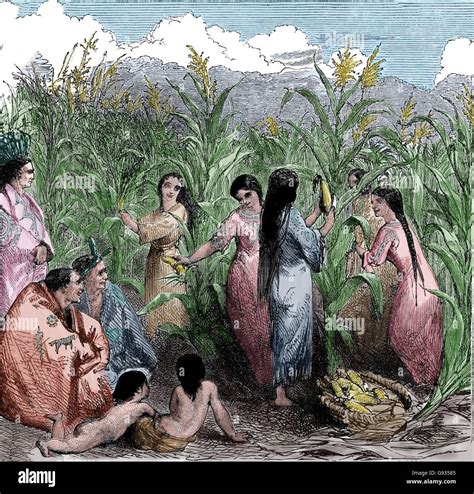 Indians Harvesting Corn Set Of Ten (10) Fall Harvest Indian Corn,