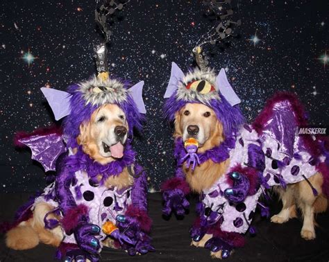 DIY Dog Costume » Funny & lovely Ideas | maskerix.com