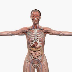 Image result for Anatomy of a Function in JavaScript