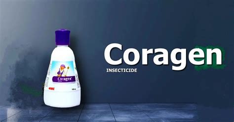 Image result for Package Tracking Example