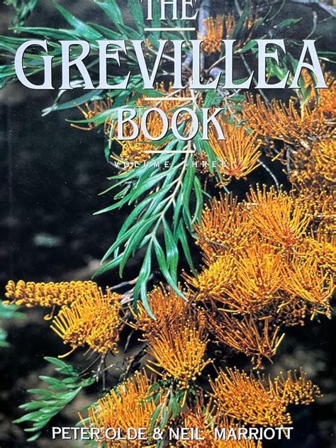 Buy The Grevillea Book: v. 3 Book Online at Low Prices in India | The ...