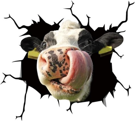 IKASEFU Cow Crack Car Sticker 4 Pcs Realistic Cow Cattle PVC India | Ubuy