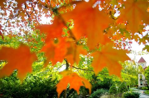 Whitman College - Acceptance Rate, Deadlines & Admission Info