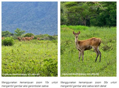 Tips Memotret Keindahan Alam dengan Fitur Andalan Kamera Galaxy S23 ...
