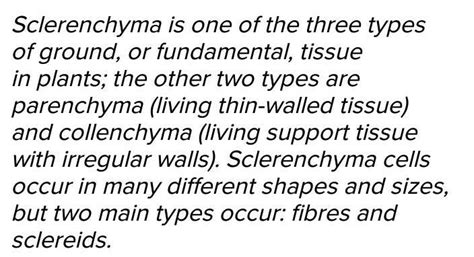 name two more tissues which have similar structure and function of ...