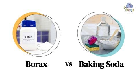 Baking Soda vs. Borax: When to Use Each for Cleaning – Moms Who Think