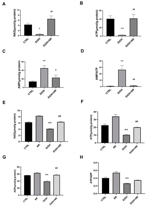NAD Supplement Alleviates Intestinal Barrier Injury Induced by Ethanol ...