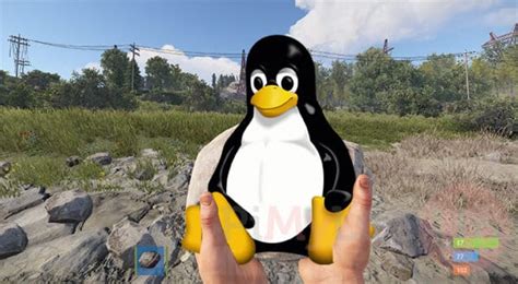 Image result for Rust Dedicated Server