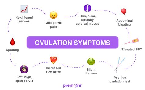 Ovulation Symptoms: Learning to Identify The Signs: Premom