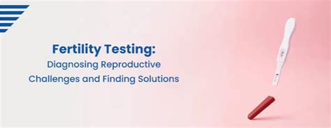 Fertility Testing: Diagnosing Reproductive Challenges