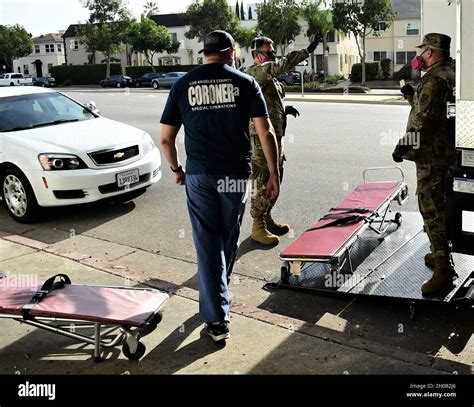 Coroner's Office Investigator at Craig Alston blog