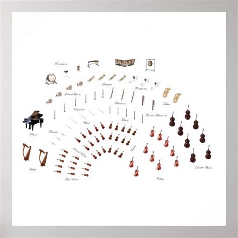 Image result for Orchestra Sections