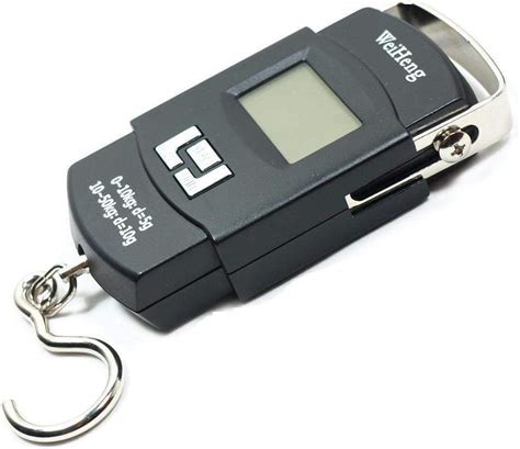 Salter Hanging Scale 235-6M 100Kg by Salter India Ltd : Amazon.in: Bags ...