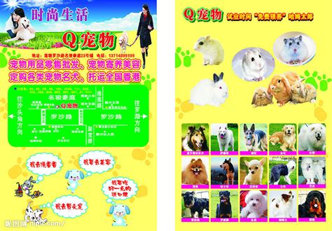 宠物店宣传单矢量图__海报设计_广告设计_矢量图库_昵图网nipic.com
