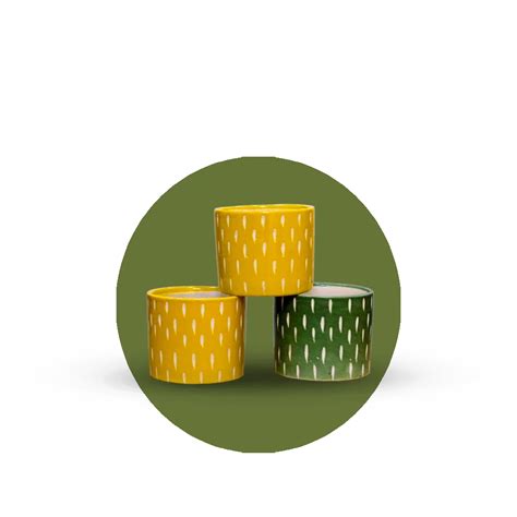 Collections – Plantmitra