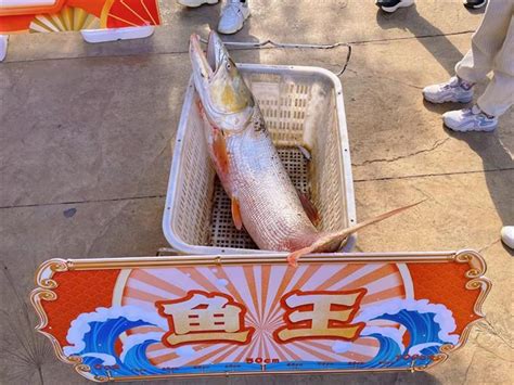 2020年全面禁渔，3000亿元小龙虾产业能拯救长江吗？