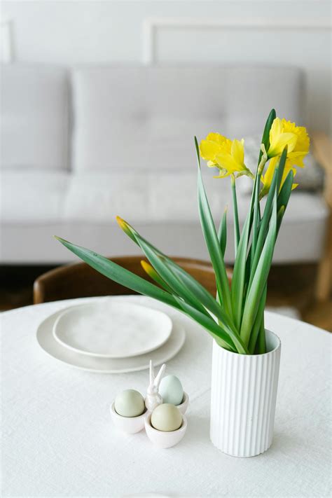 Image result for Popular Spring Flowers