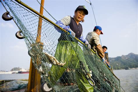 这样的捕鱼方式你见过吗？只要有鱼就一定有收获，效果太好了_凤凰网视频_凤凰网