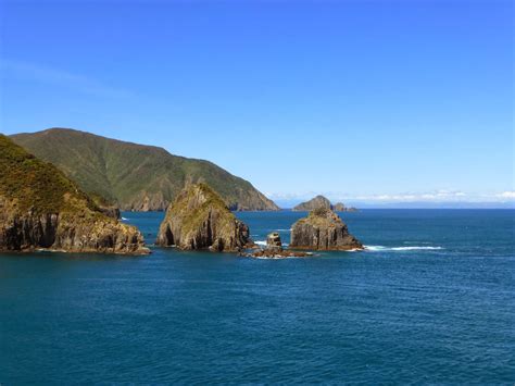 Cook Strait 的图像结果