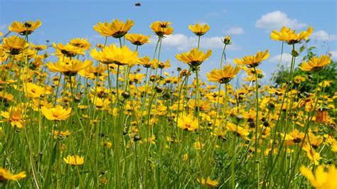 Environmental Quality 的图像结果