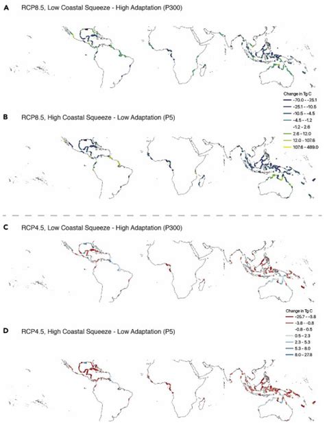 Impacts of Climate Change on Blue Carbon Stocks and Fluxes in Mangrove ...