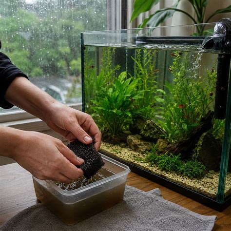 Monsoon Complete Aquarium Checklist | Promeal