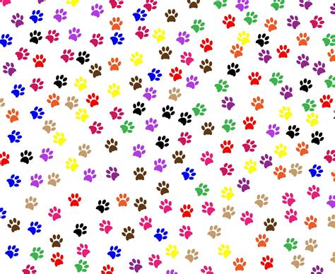 Dog Bone Wallpapers - Top Free Dog Bone Backgrounds - WallpaperAccess