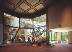 ZooLex Exhibit - Regenstein Center for African Apes
