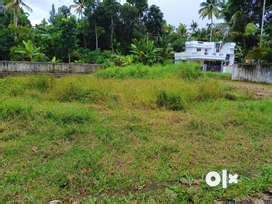 Lands & Plots for sale in Kodungallur | OLX