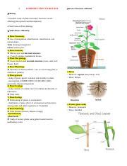 Botany 的图像结果