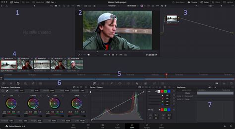 Get Started With the Color Page in DaVinci Resolve | Larry Jordan