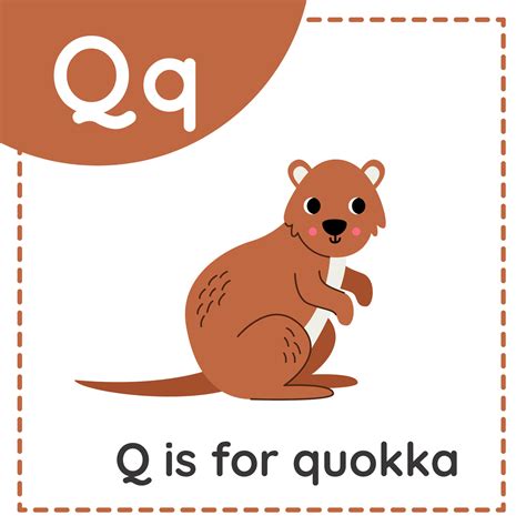 aprendizaje Inglés alfabeto para niños. letra q. linda dibujos animados quokka 29353924 Vector ...