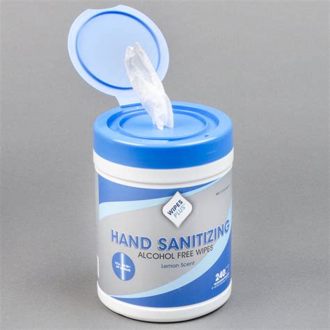 WipesPlus 240 count HAND SANITIZING ALCOHOL FREE, SANITIZING Hand ...
