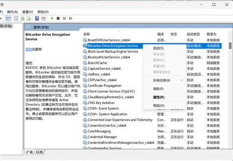 Using BitLocker 的图像结果