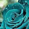 One mole of oxygen gas is made to undergo a process in which it's molar ...