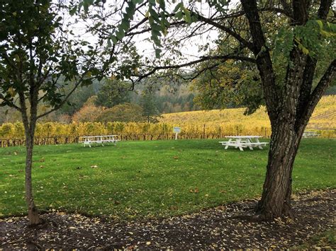 Fall our favorite time of year - something to think about