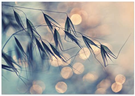Still Life Collections: Home Décor, Office Art & Gifts | Art Galleria ...