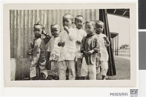 Talk | Territory History Collection - Chinese in the Top End, Museum ...