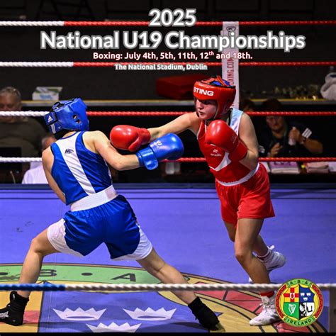 The 8 Best Irish MMA Fighters of All Time - Irish Boxing