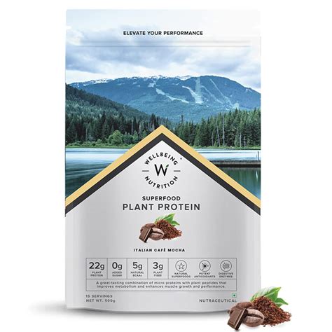 Wellbeing Nutrition Organic Vegan Plant Protein Isolate Powder | 22g ...