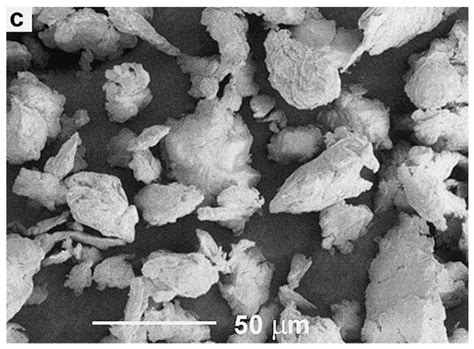 Environmental Microplastic Particles vs. Engineered Plastic ...