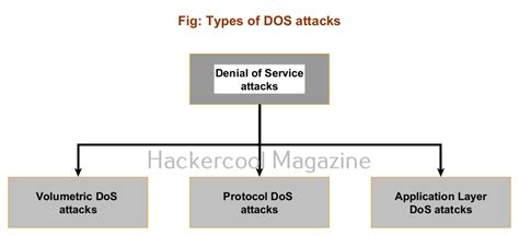 Image result for DoS Attack Programs